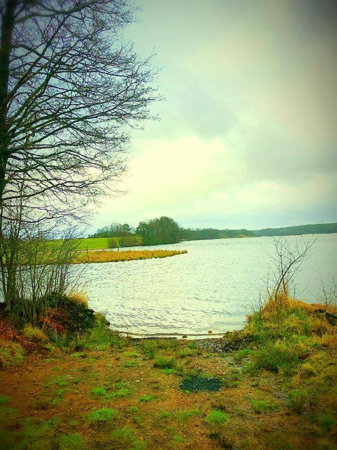 Hagabergets Vandrarhem Ullared Exteriér fotografie